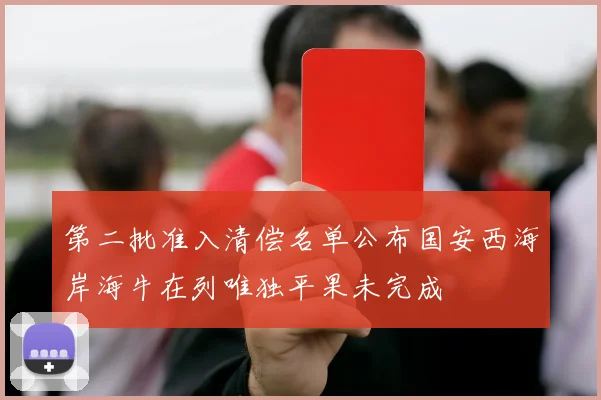 第二批准入清偿名单公布国安西海岸海牛在列唯独平果未完成